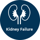 kidney